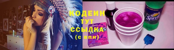 индика Кодинск