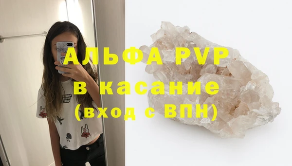 индика Кодинск