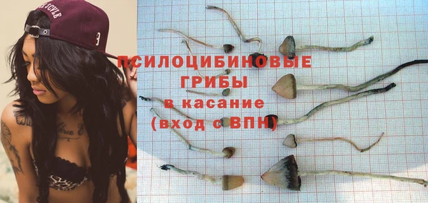 гидропоника Козельск