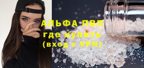индика Кодинск