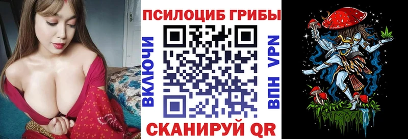 Псилоцибиновые грибы мицелий  Купить закладки  Бобров 